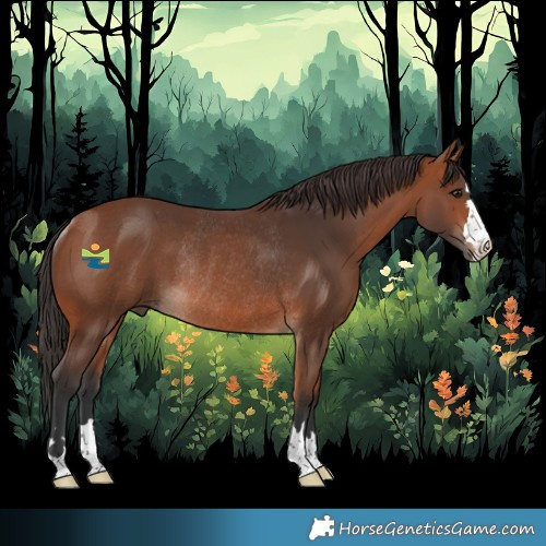 Horse Color:Bay Rabicano 