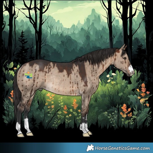 Horse Color:Brown Dun Rabicano Brindle 