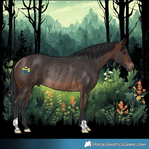 Horse Color:Brown Rabicano