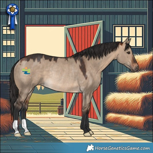 Horse Color:Bay Dun Rabicano 
