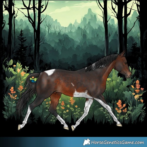 Horse Color:Brown Tobiano Rabicano 