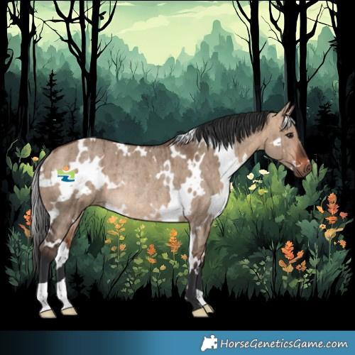 Horse Color:White Spotted Bay Dun Rabicano Brindle 