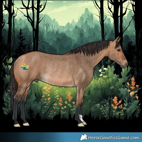 Horse Color:Bay Dun Rabicano Brindle