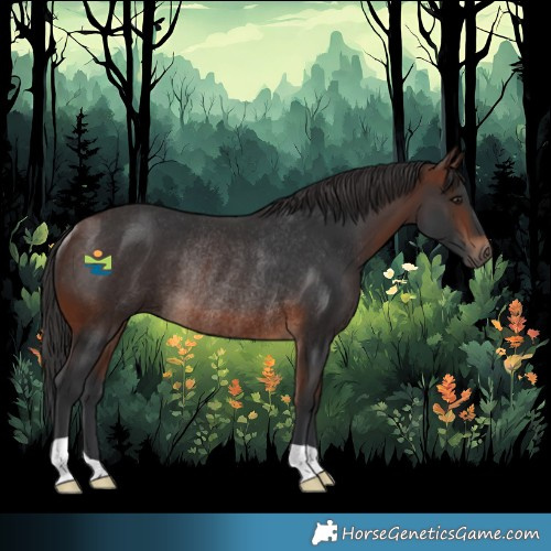 Horse Color:Brown Rabicano