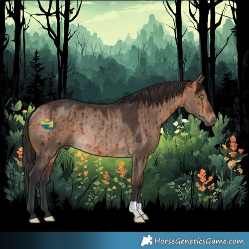 Horse Color:Bay Dun Rabicano Brindle 