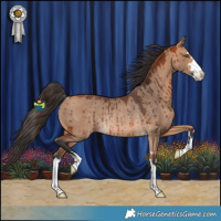 Horse Color:Bay Dun Rabicano Brindle