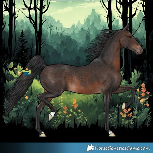 Horse Color:Bay Rabicano 
