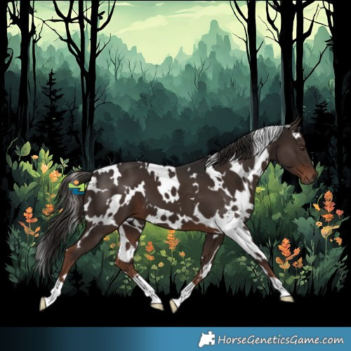 Horse Color:White Spotted Liver Chestnut