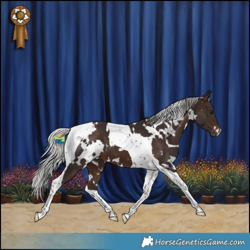 Horse Color:White Spotted Silver Brown Tobiano