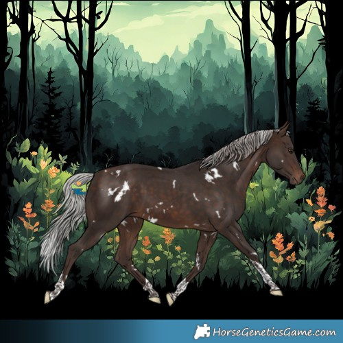 Horse Color:White Spotted Silver Brown Tobiano 