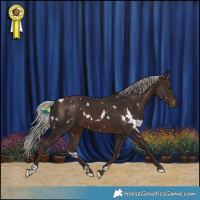 Horse Color:White Spotted Silver Brown 