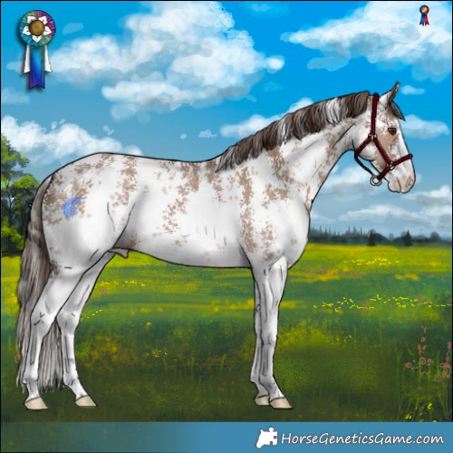 Horse Color:Liver Red Dun Sabino