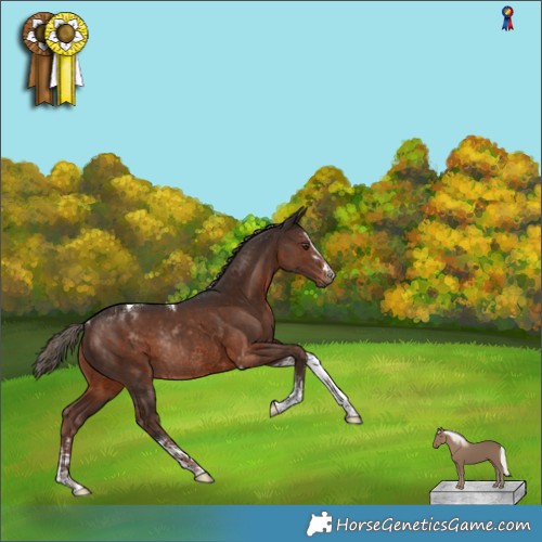 Horse Color:Liver Chestnut Rabicano  and Liver Chestnut Mushroom Tobiano Rabicano 