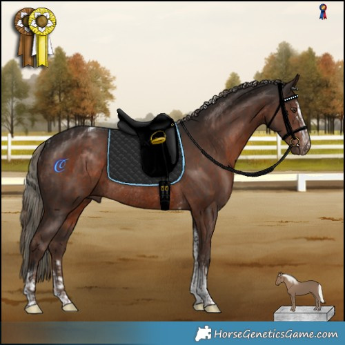 Horse Color:Liver Chestnut Rabicano and Liver Chestnut Mushroom Tobiano Rabicano