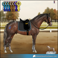 Horse Color:Liver Chestnut Rabicano and Liver Chestnut Mushroom Tobiano Rabicano