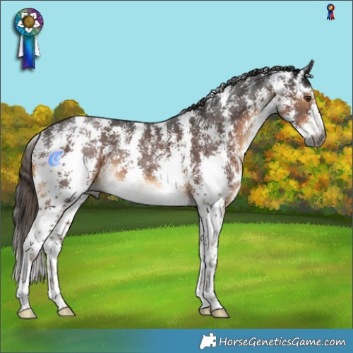 Horse Color:Gray Liver Chestnut Sabino Rabicano 