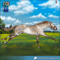 Horse Color:Gray White Spotted Liver Red Dun 