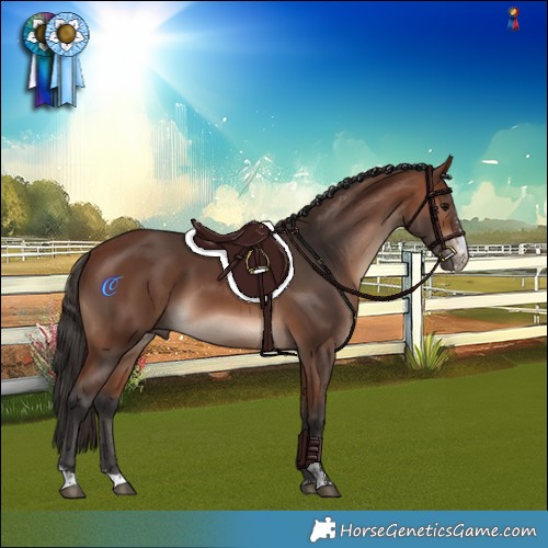 Horse Color:Bay Mushroom Sabino 