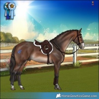 Horse Color:Bay Mushroom Sabino 