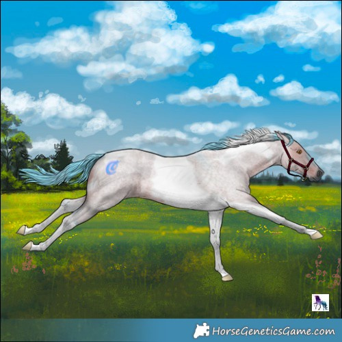 Horse Color:Gray Watercolor Smoky Grullo Roan Mushroom Tobiano