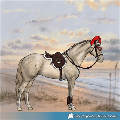 Horse Color:Buckskin Pearl Merle Tobiano