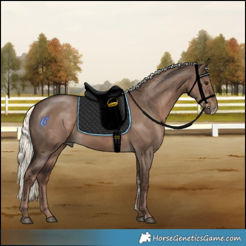 Horse Color:Liver Red Dun Mushroom Sabino 