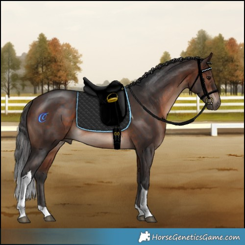 Horse Color:Brown Mushroom Tobiano Rabicano