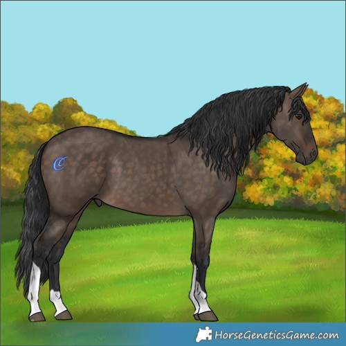 Horse Color:Brown Dun Tobiano 