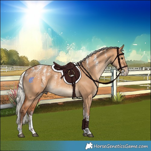 Horse Color:Powder White Silver Bay Dun Rabicano 