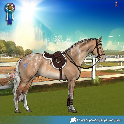 Horse Color:Powder White Silver Bay Dun Rabicano
