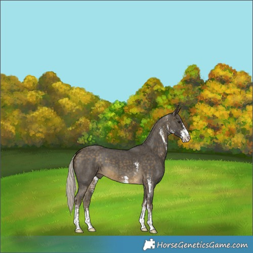 Horse Color:Silver Buckskin Sabino