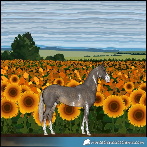 Horse Color:Silver Buckskin Sabino 
