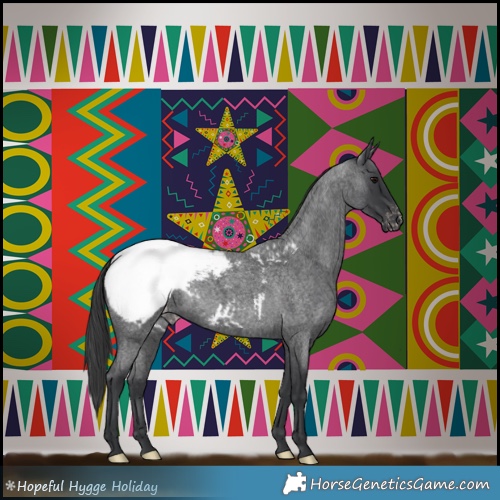 Horse Color:Blue Roan Snowcap