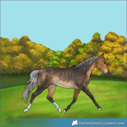 Horse Color:Silver Buckskin Rabicano 