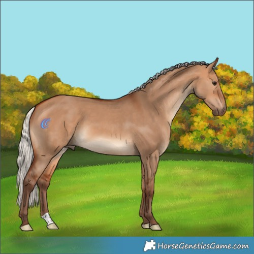Horse Color:Silver Bay Dun 