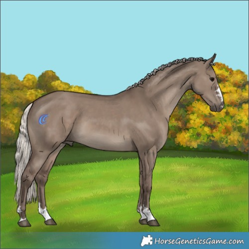 Horse Color:Silver Grullo