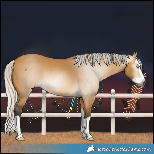 Horse Color:Gray Silver Buckskin Dun Splash Rabicano