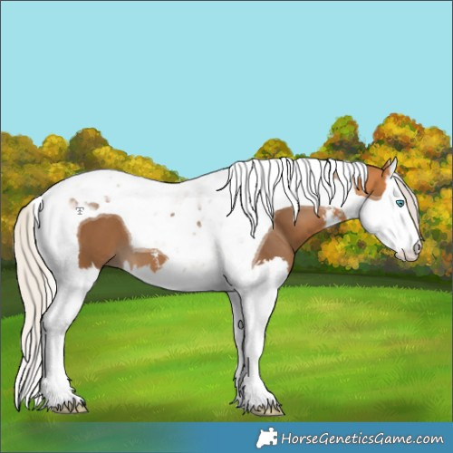 Horse Color:White Spotted Silver Buckskin Splash Tobiano 