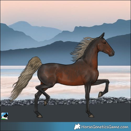 Horse Color:Gray White Spotted Liver Chestnut Mushroom 
