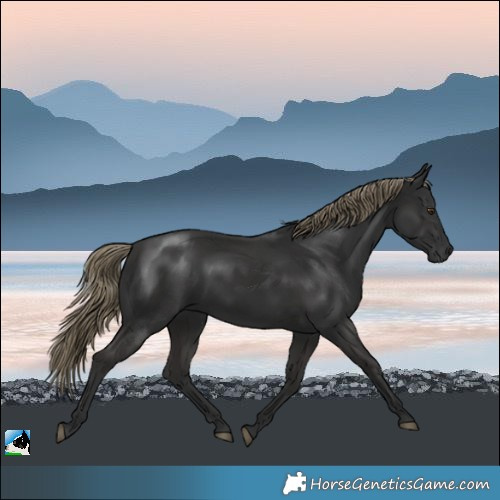 Horse Color:Gray White Spotted Liver Chestnut Mushroom Rabicano 