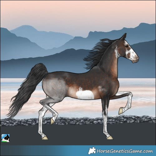 Horse Color:White Spotted Brown Mushroom Frame 
