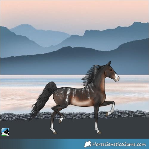 Horse Color:Powder White Brown Mushroom Sabino Rabicano 