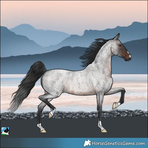 Horse Color:Brown Roan Mushroom Rabicano