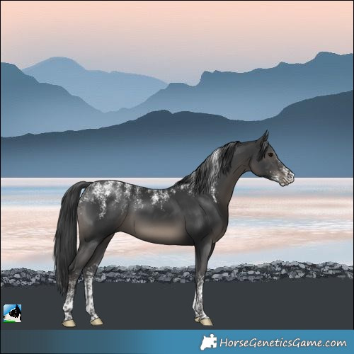 Horse Color:Powder White Black