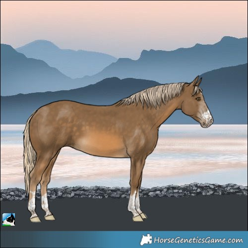Horse Color:Chocolate Palomino Mushroom 