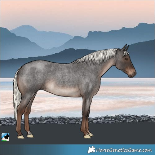 Horse Color:Liver Red Roan Mushroom Rabicano