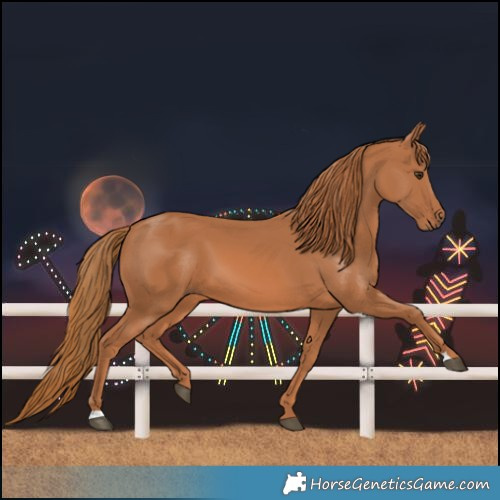 Horse Color:Chestnut 