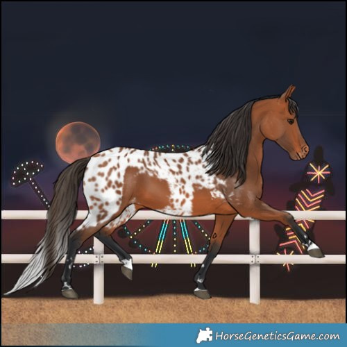 Horse Color:Bay Skewed LP Spotted 
