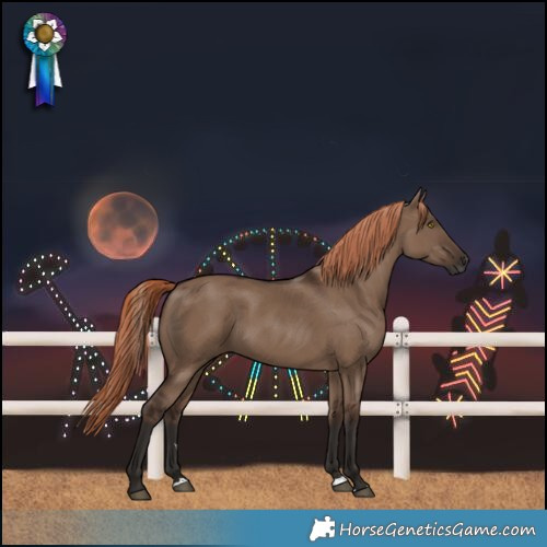 Horse Color:Liver Red Dun 