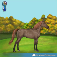 Horse Color:Liver Red Dun